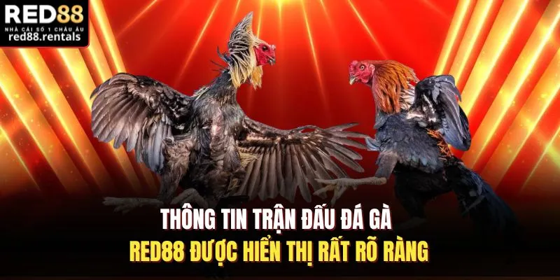 Thông tin trận đấu đá gà Red88 được hiển thị rất rõ ràng